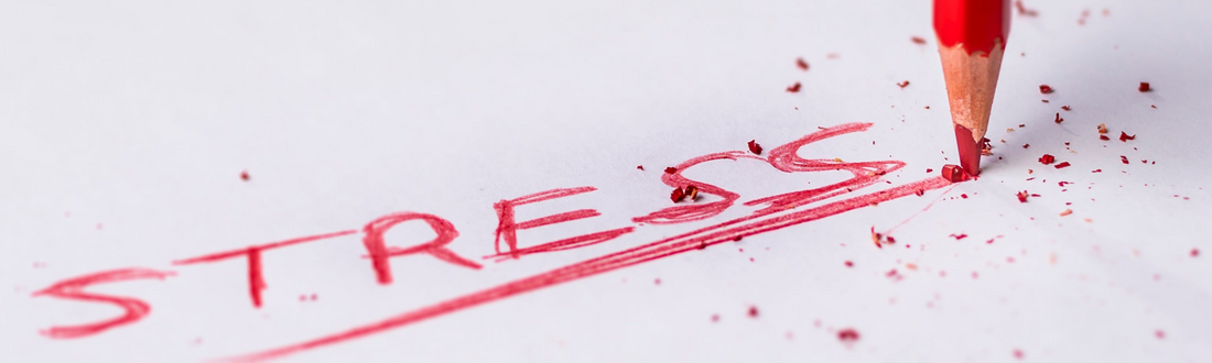 Stress macht uns krank